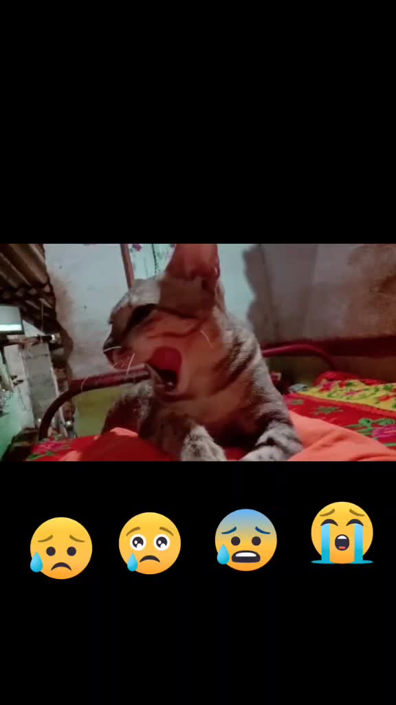 @Alaguprabu