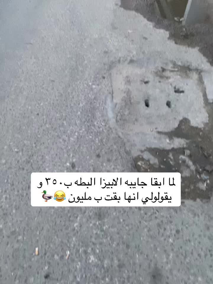 @Nourin Khalil
