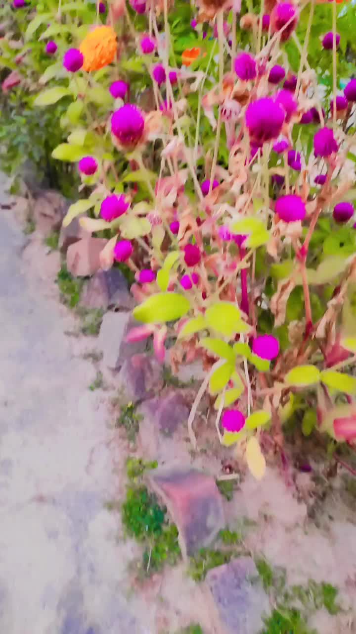 @Rita Paudel😘