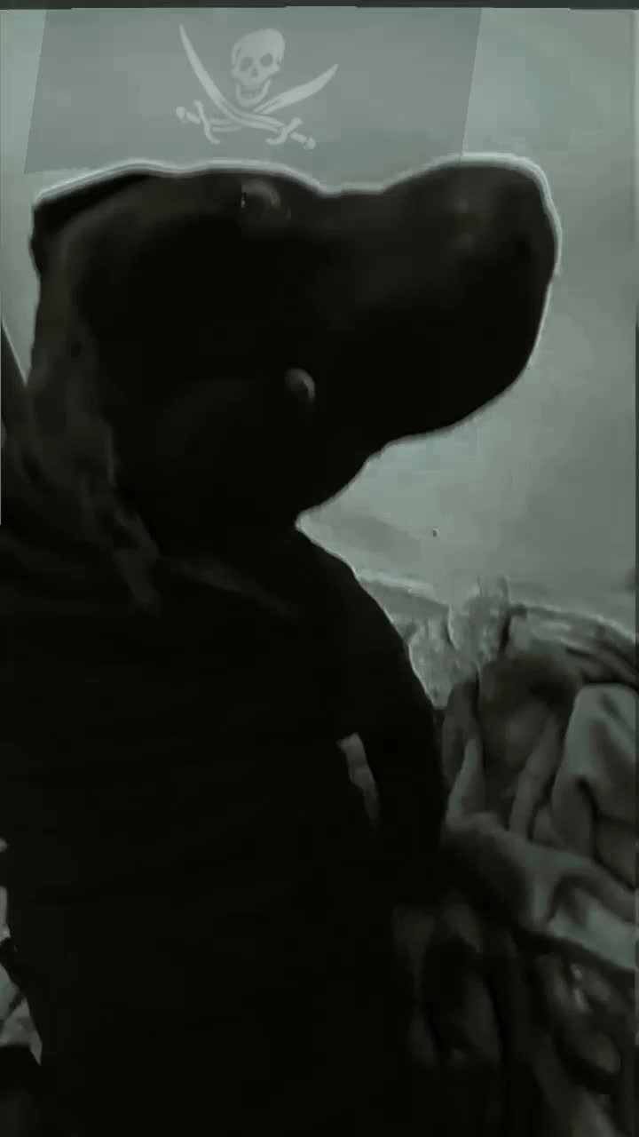 @oldpirate