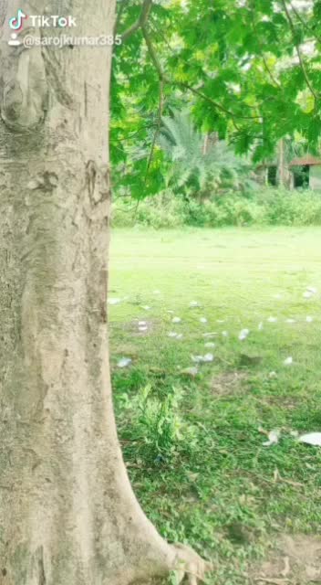 @manas kumar