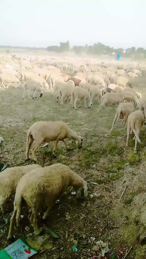 @Aariti Tharuni721