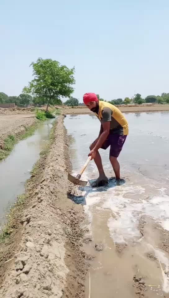 @Brar 595