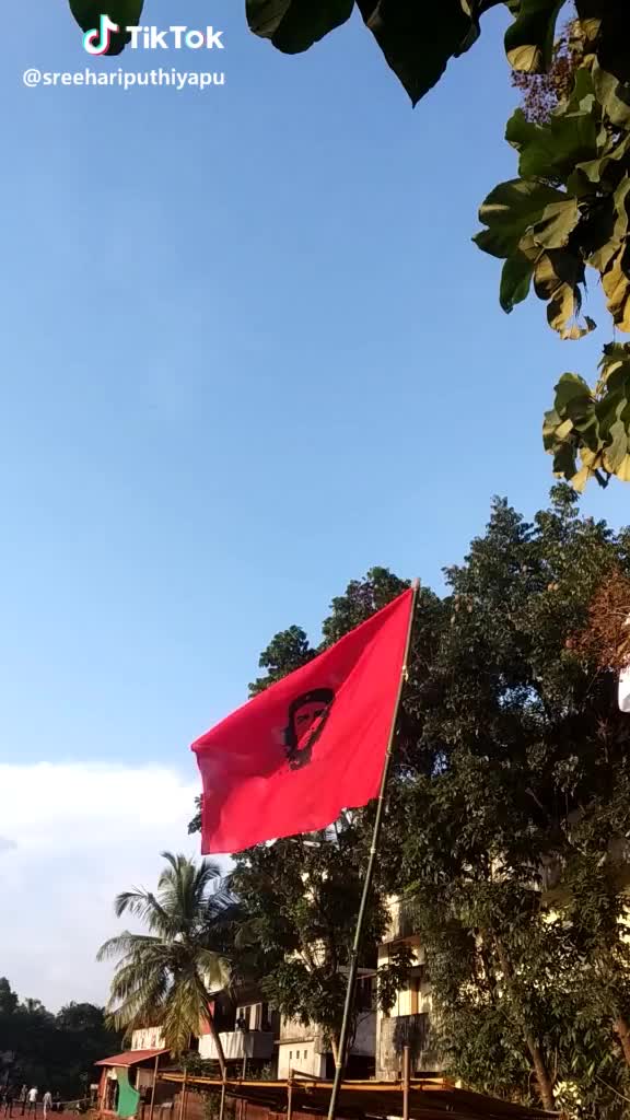@Dildev
