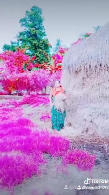 @user7435625018043