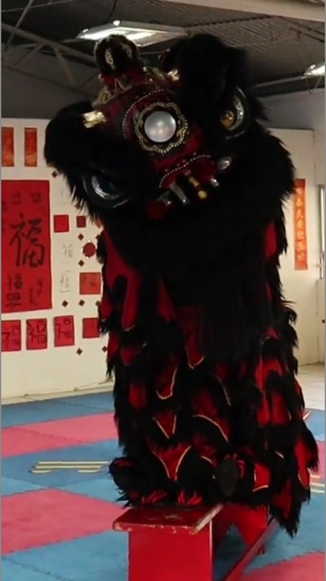 @CES WUSHU