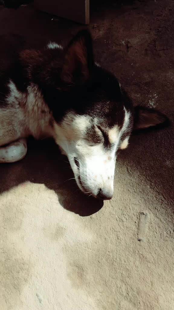 @❤Sandy❤