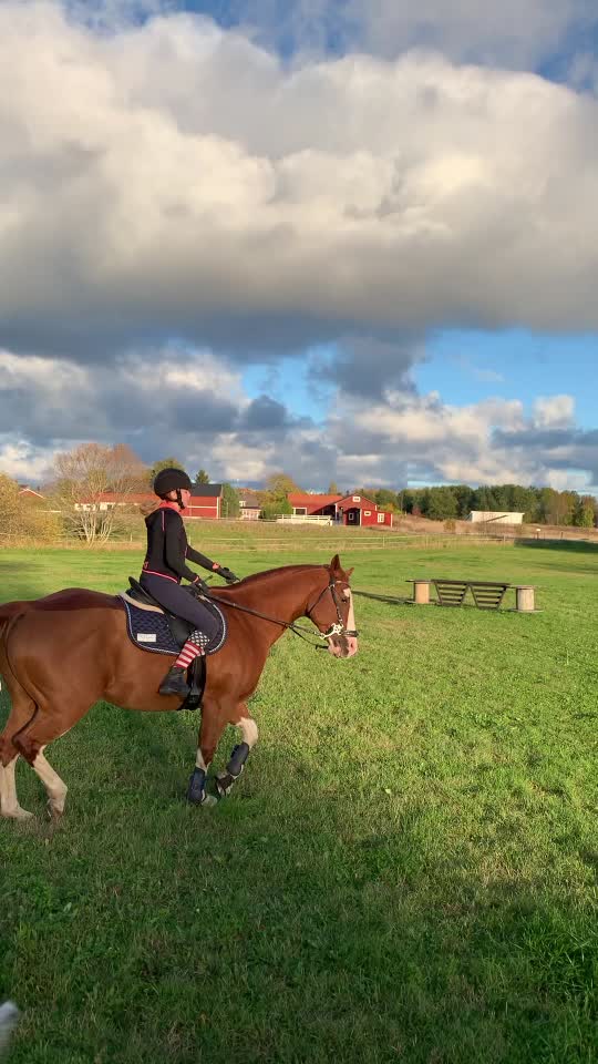 @🏇Ryttare🏇