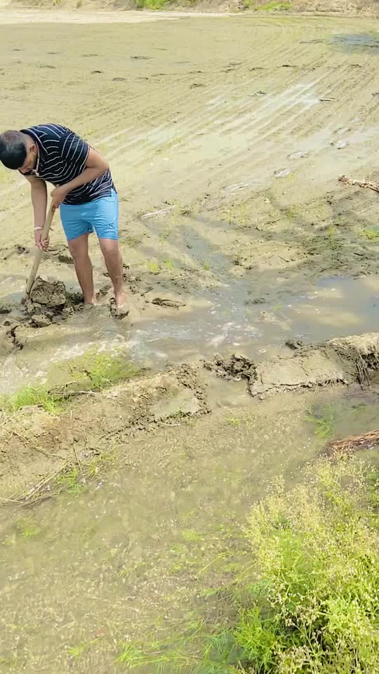 @Sukhchain Dullat