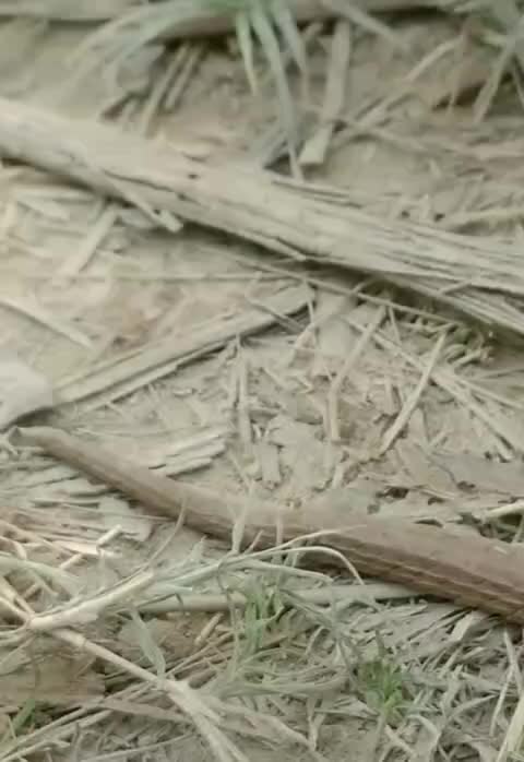 @HTomar