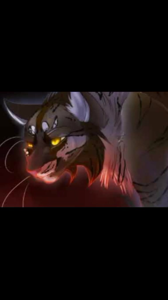 @Warrior Cats