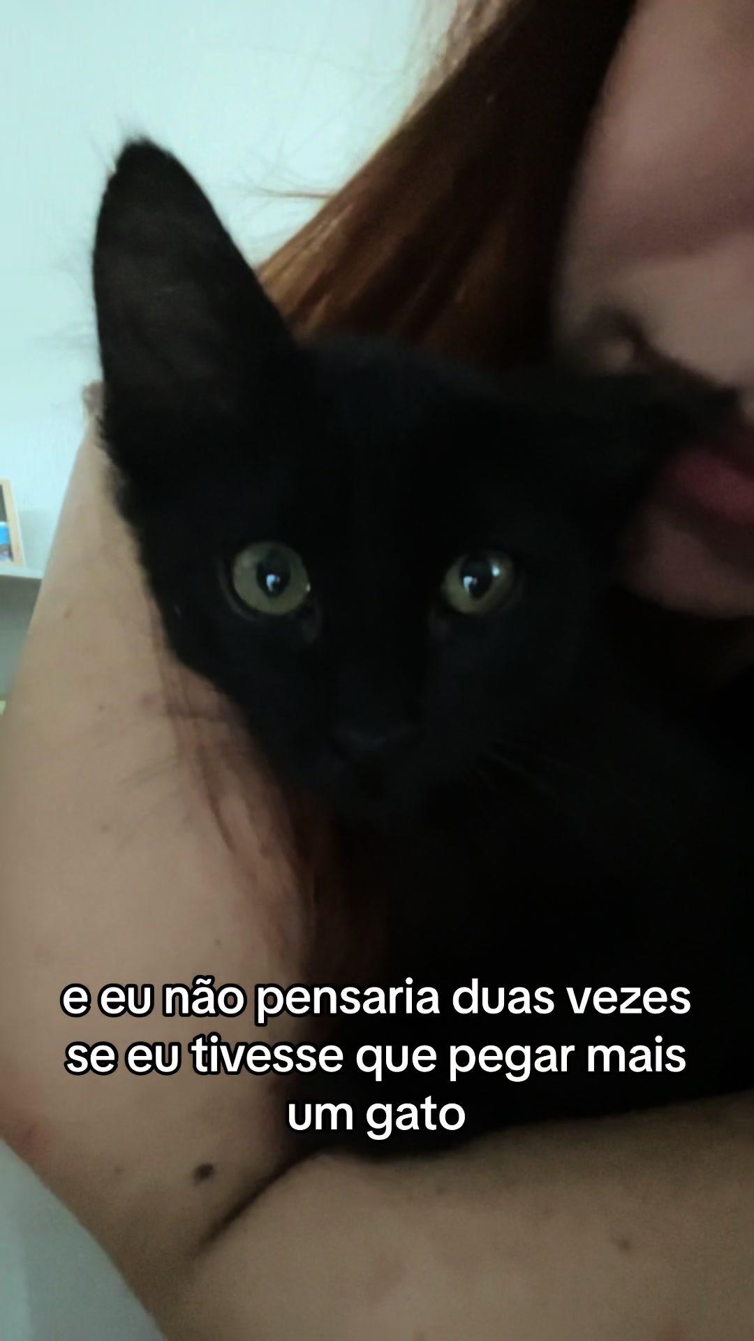 @sthe.faany