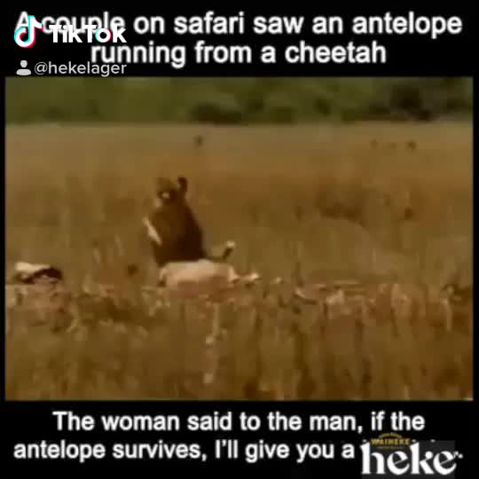 @Mark