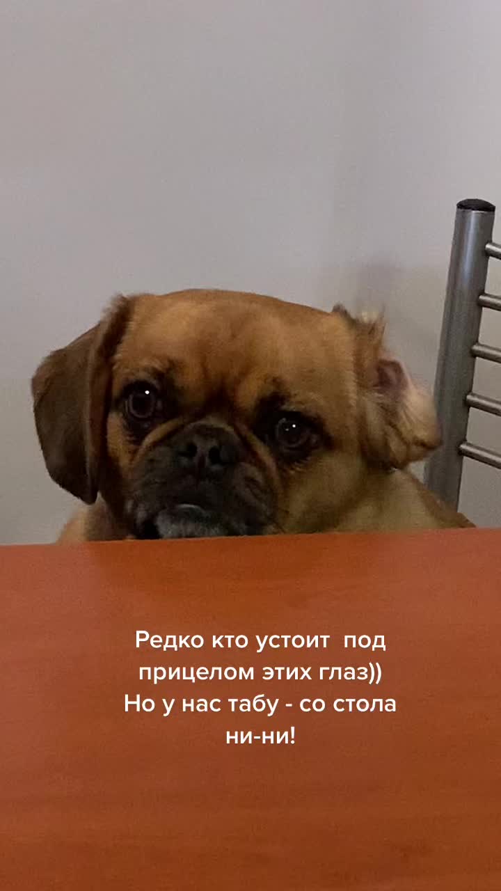 @Абу Саныч и Холли Ольговна
