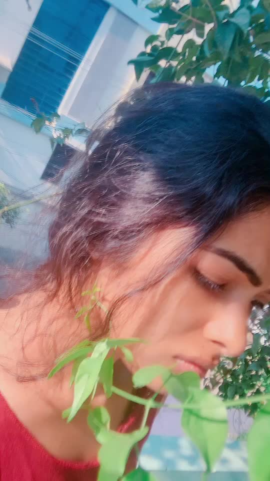 @Divvi Divaa