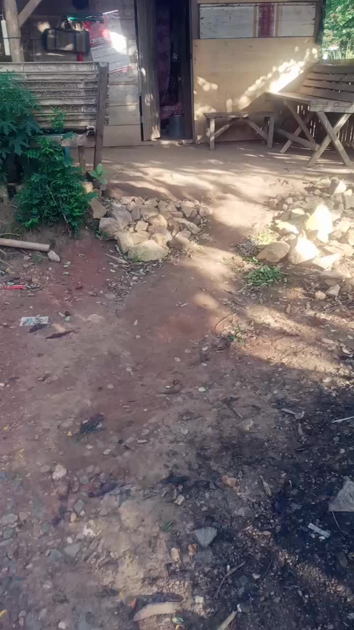 @user2362096972611