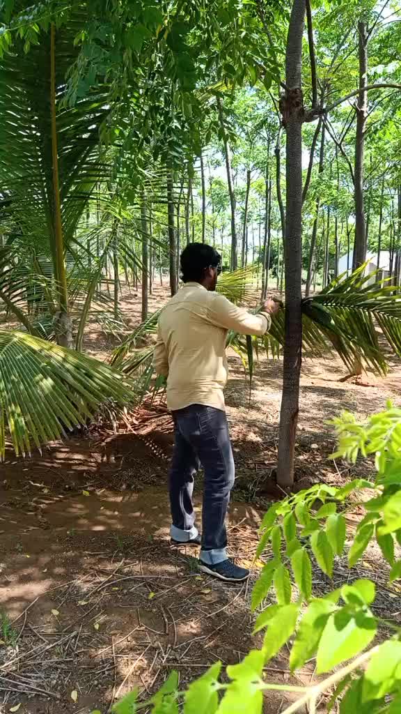 @Sakthi Vel pulsar