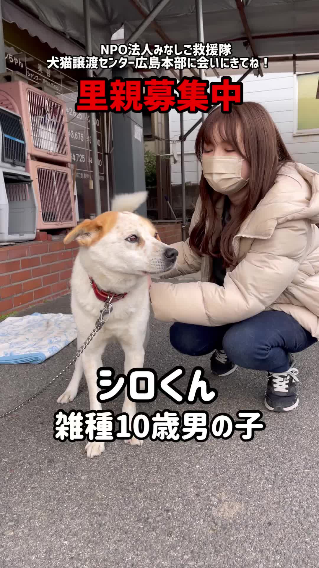 @みゆといぬ。