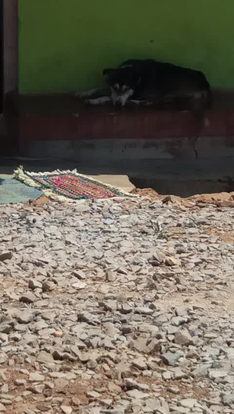 @Seema RJ