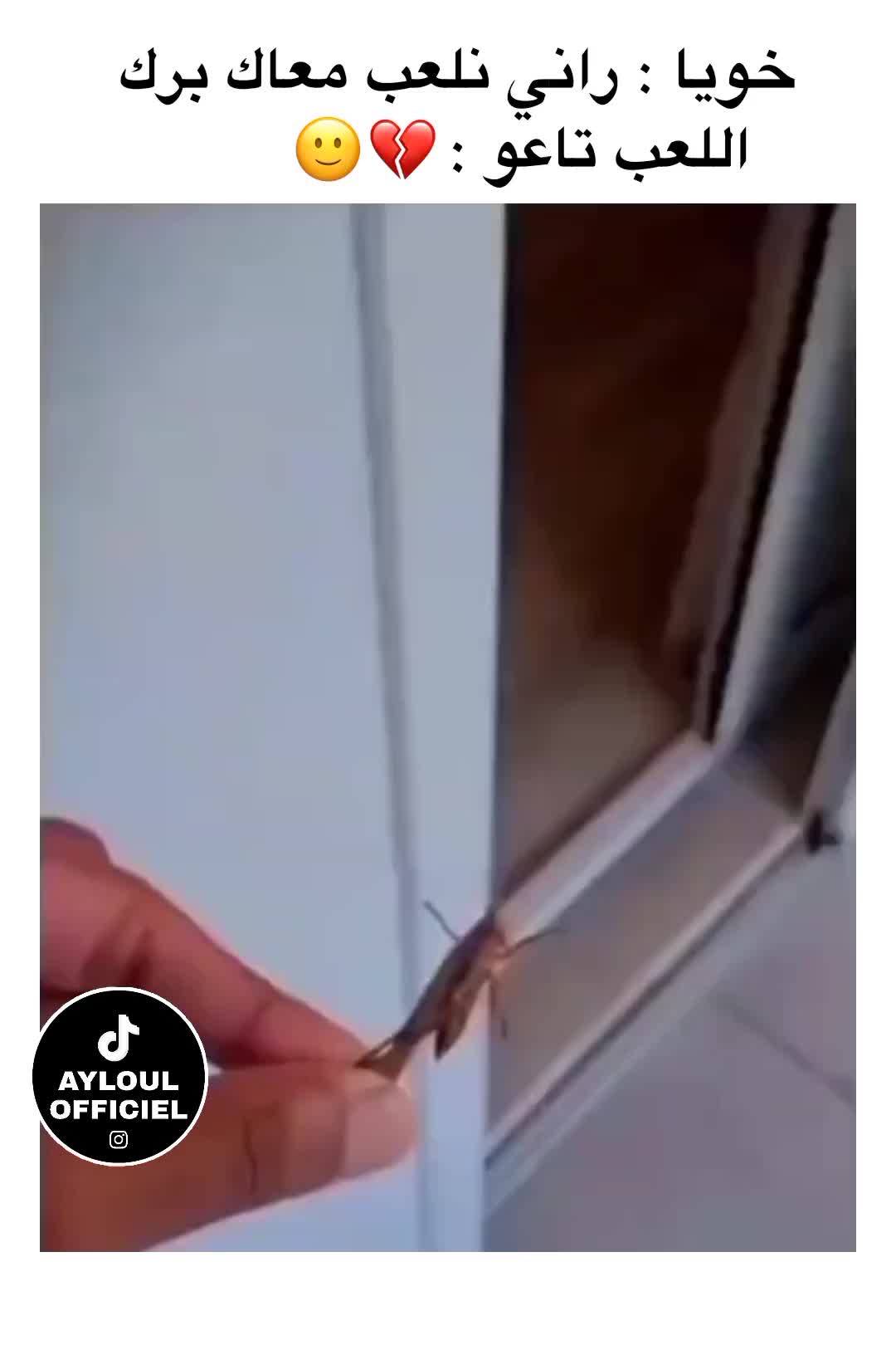 @July
