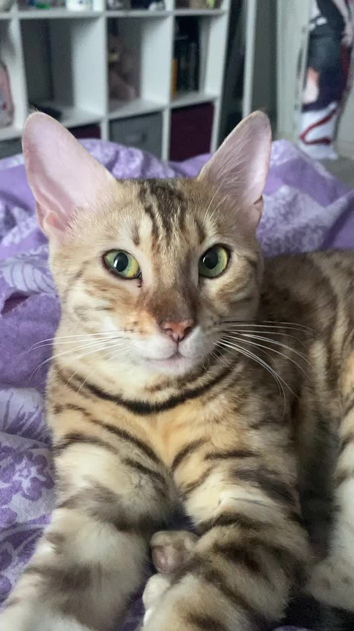 @Твой Кореец💜