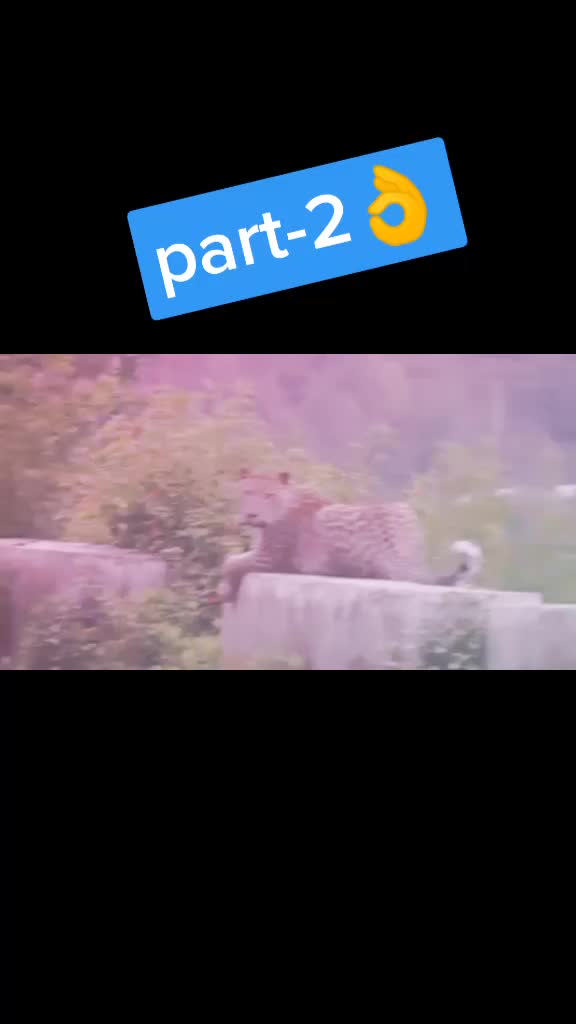 @🏅 Naveen Bisht 🏅