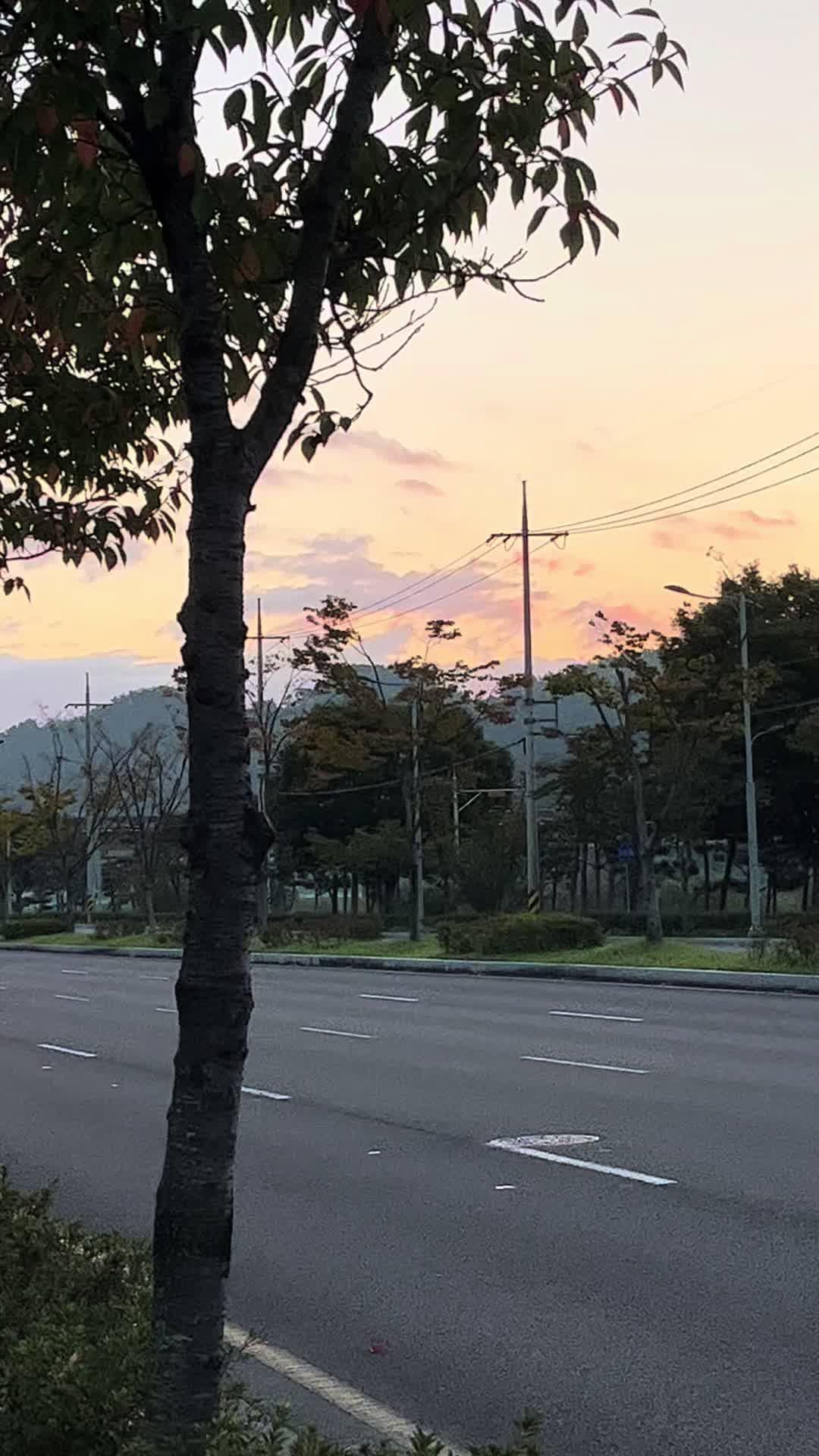 @나보러와또요?
