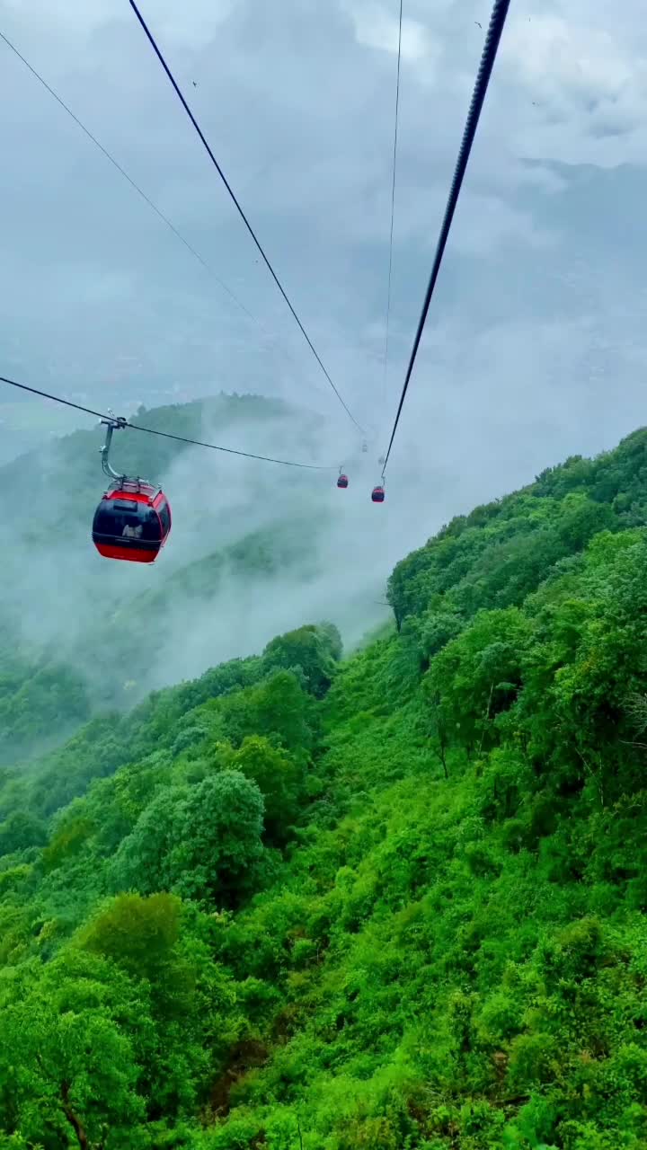 @Adrenaline Rush