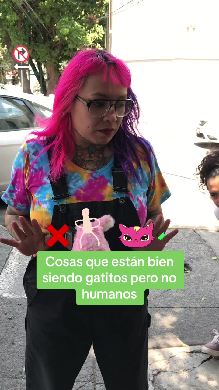 @ComunidadDelCerdito