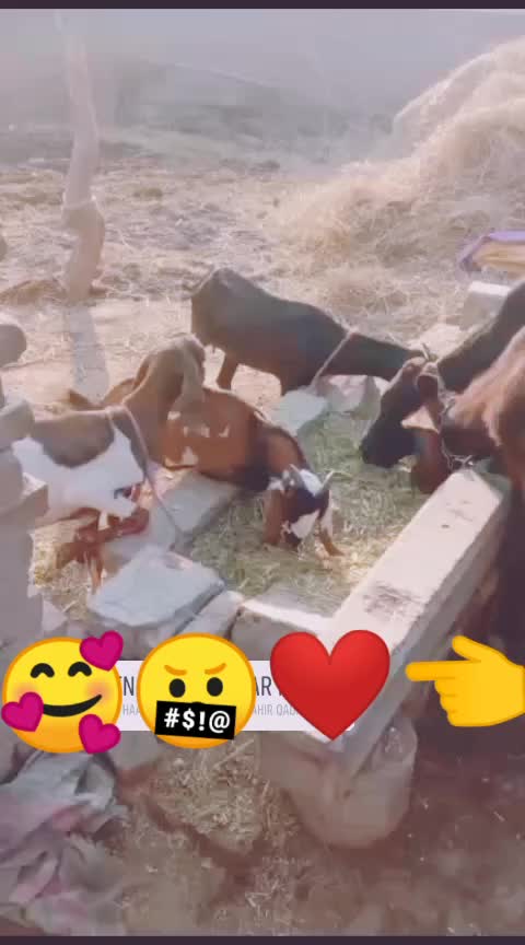 @Alihassan13545🥀💔🇦🇪