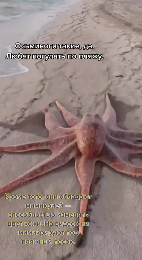 @𝓔𝓵𝓮𝓷