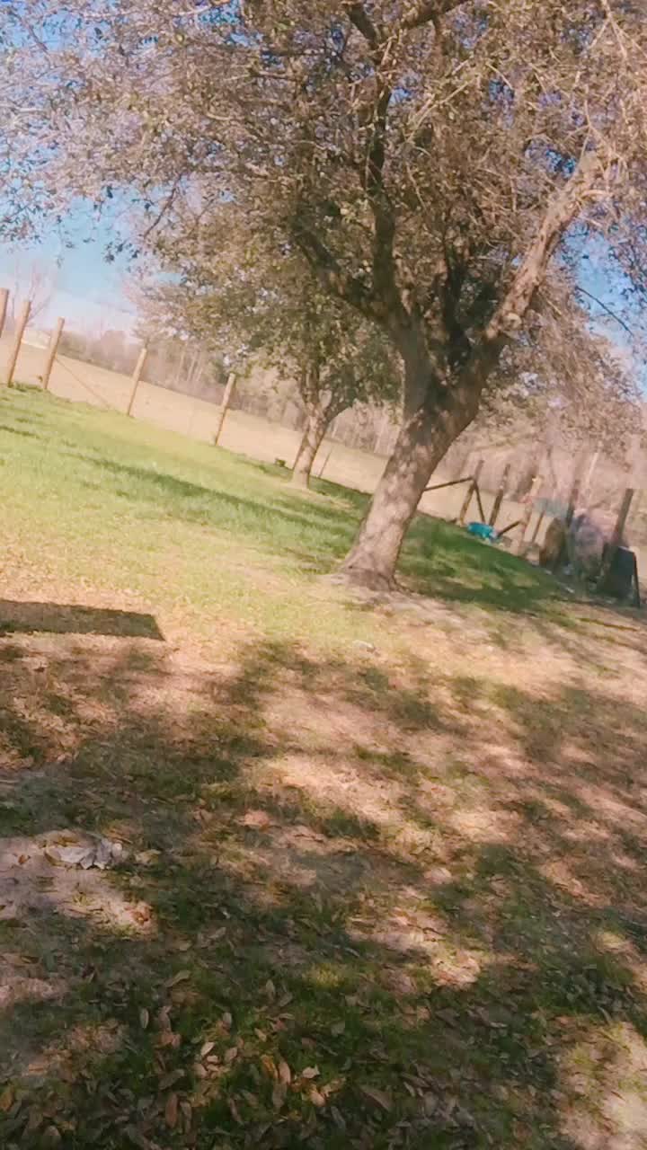 @Lissa_bear