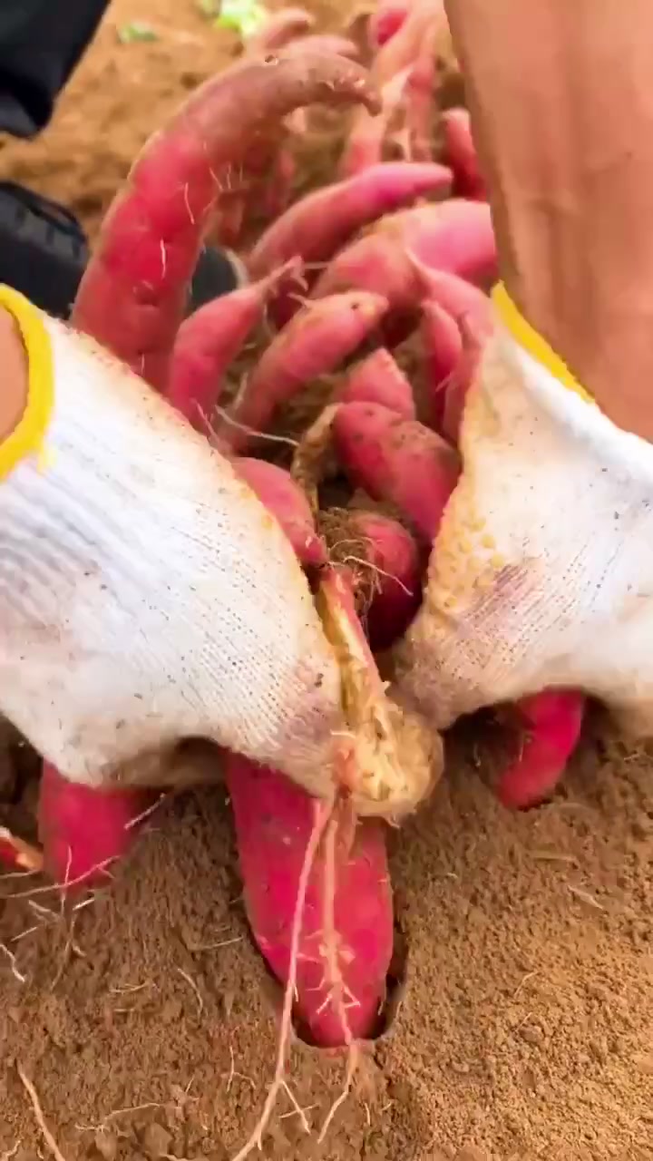 @Sarah