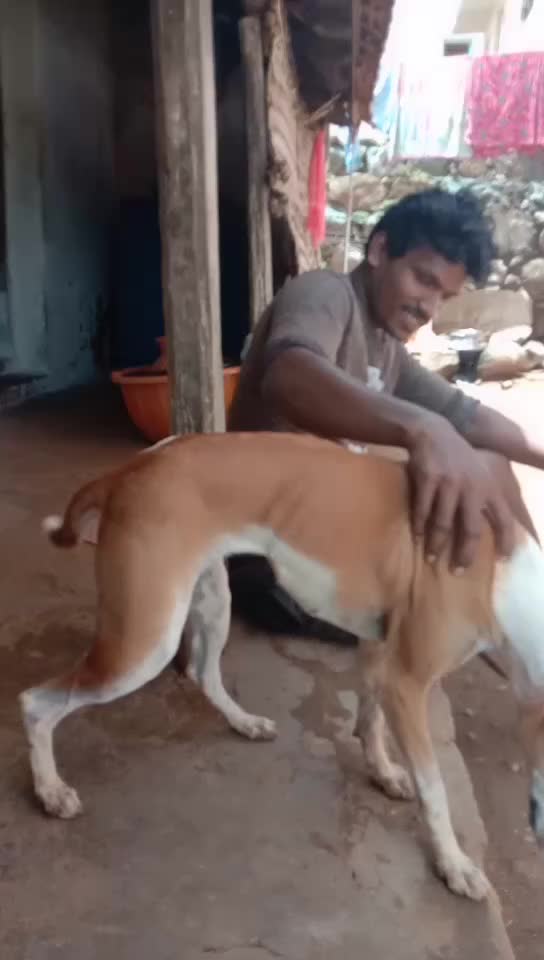 @Sathish Takky