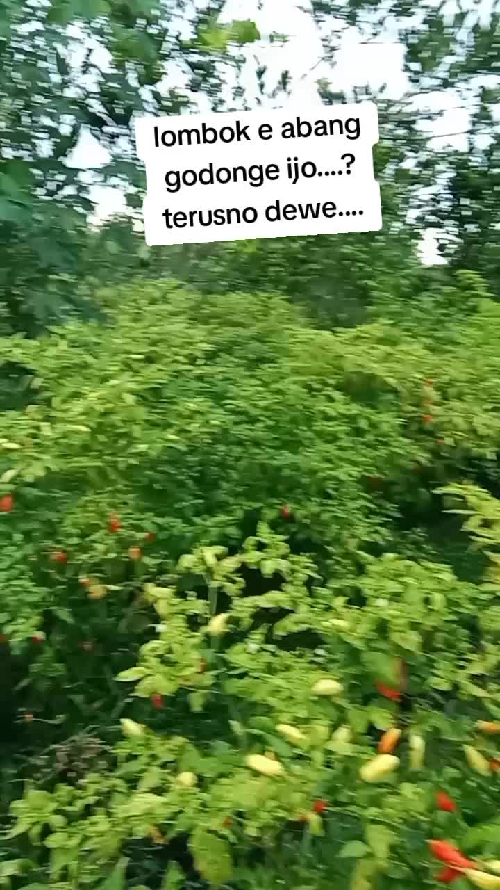 @Sela Mariska138
