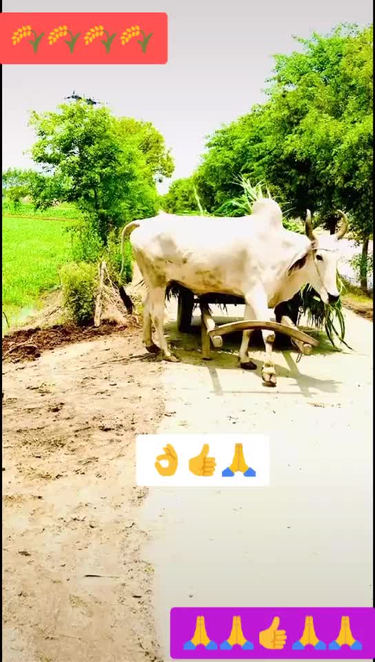 @yadav सबले बढ़िया 🙏