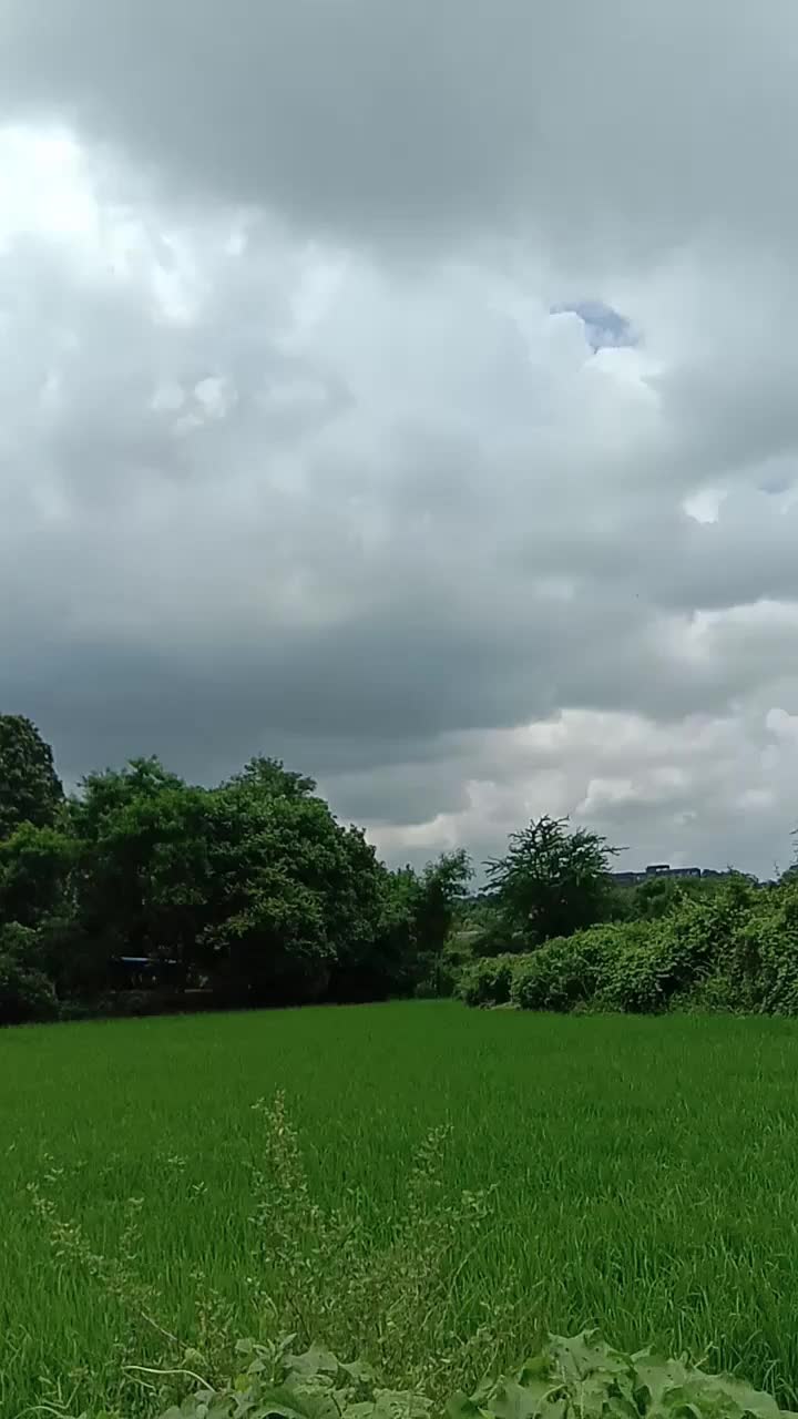 @Maroof Tik tok