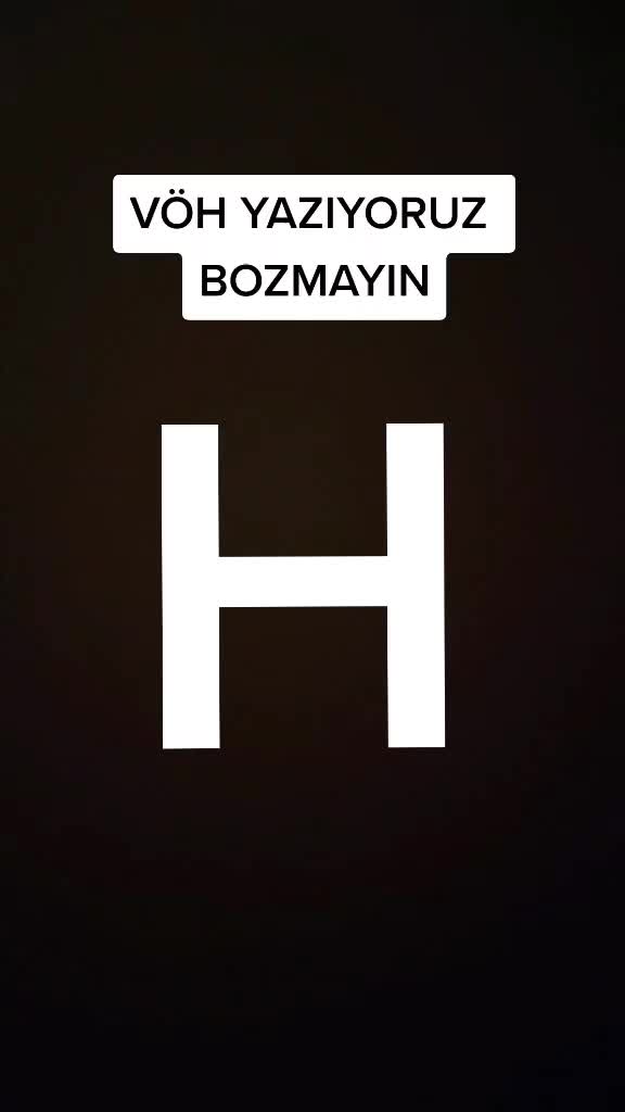 @Sarı bir kedi