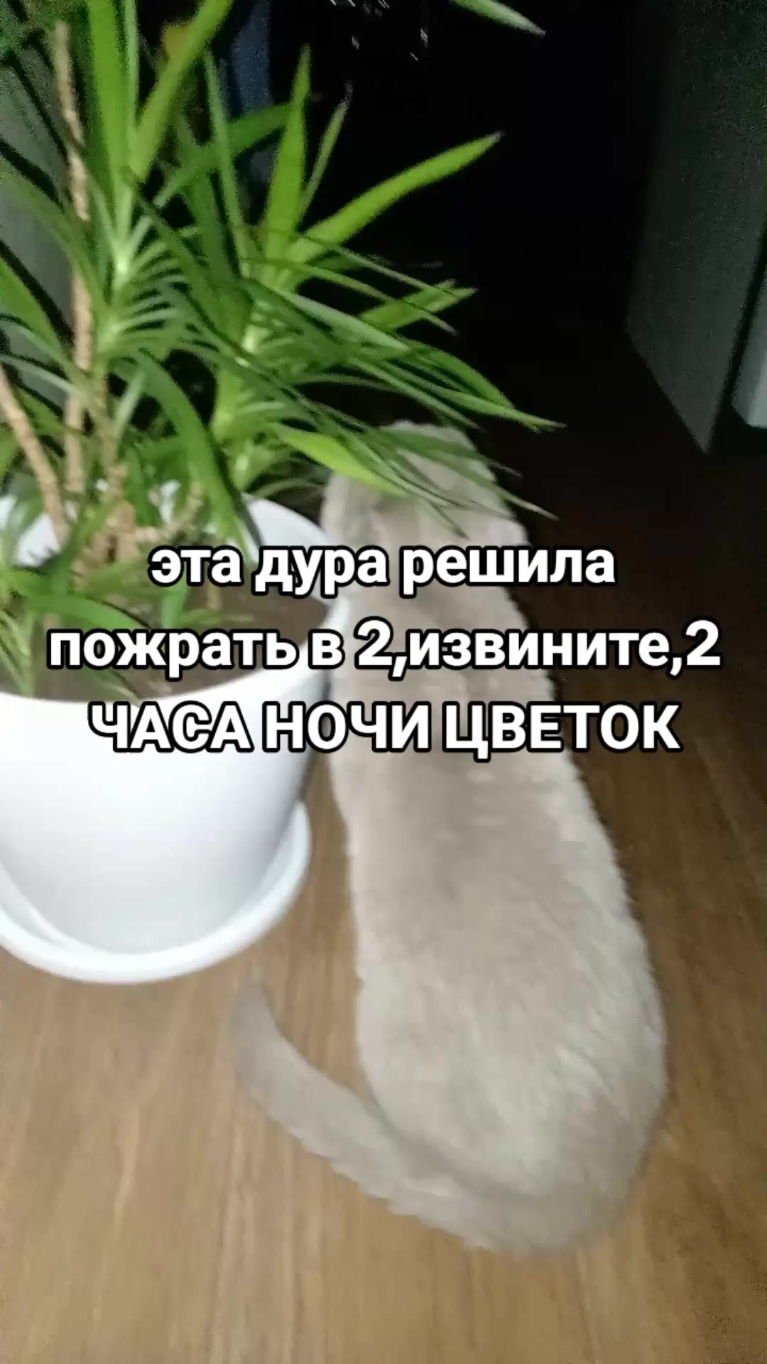 @французска