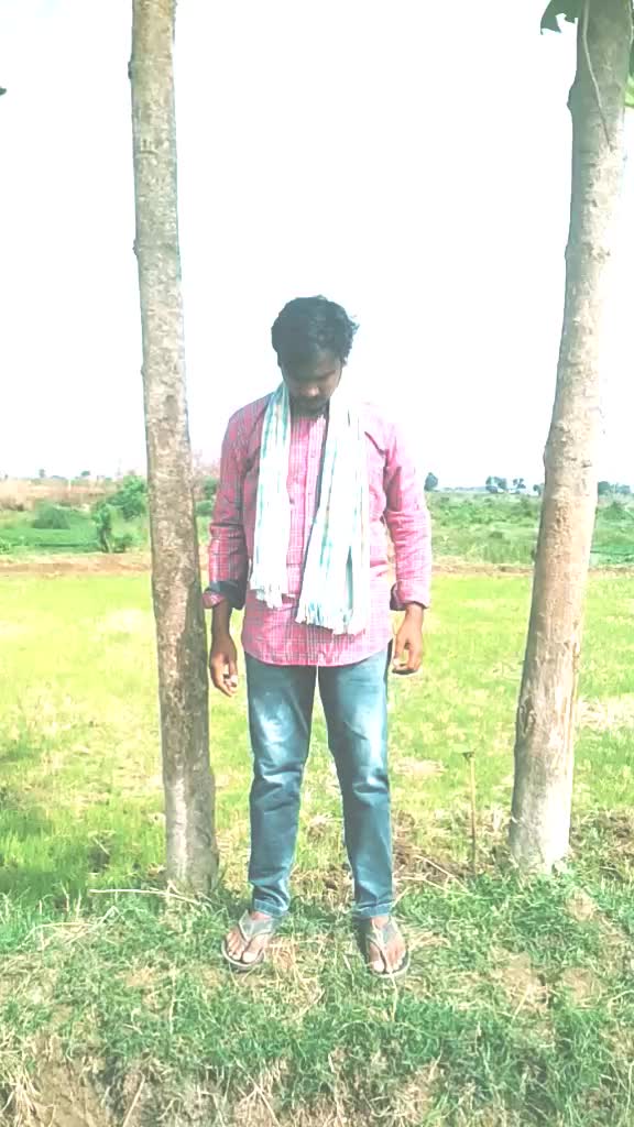 @మడుపల్లి రామారావు