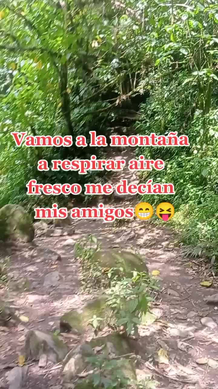 @lexerojj