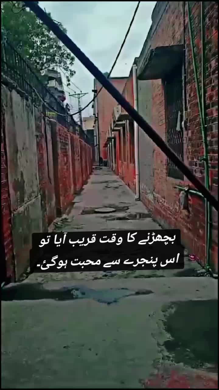 @Zeenou Khan