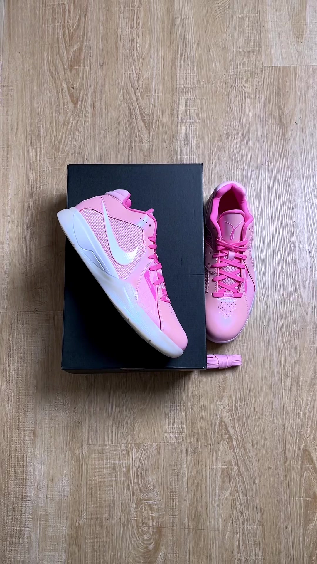@Shoeter