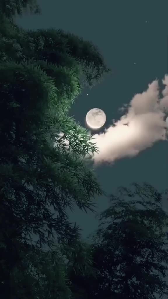 @Hữu.Nguyên 57