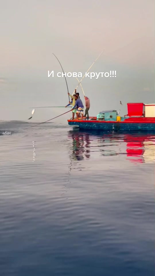 @Александр