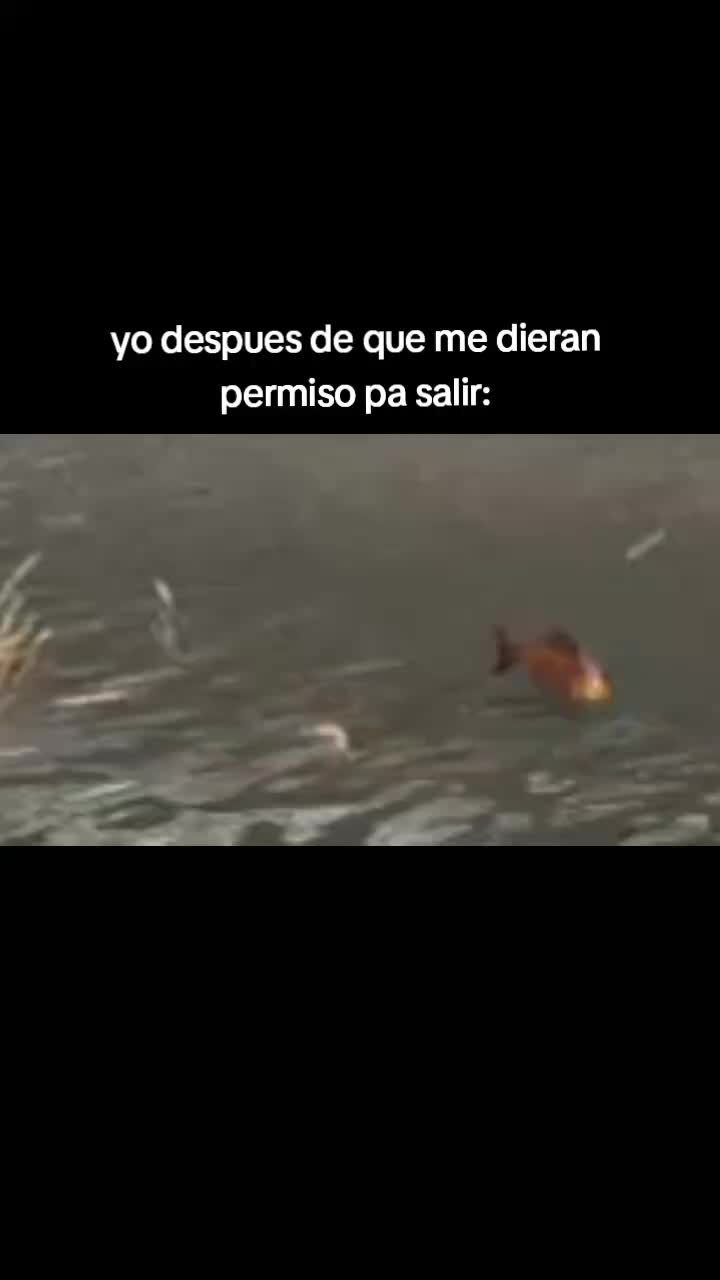 @reviví