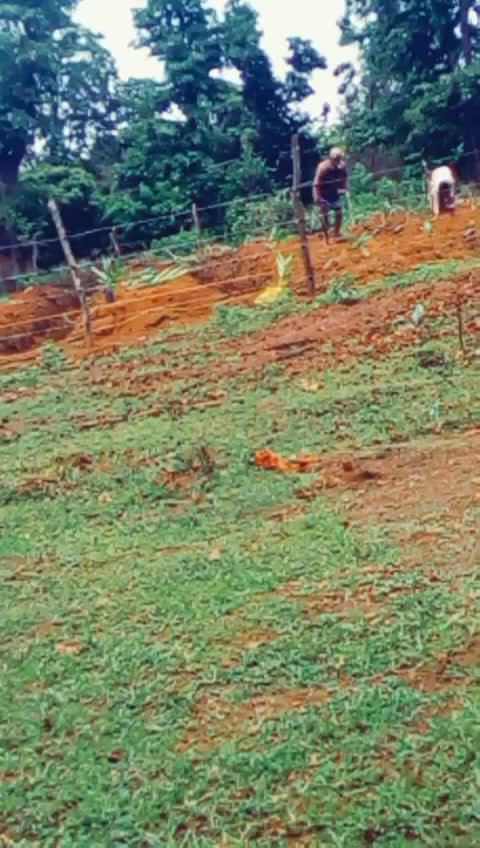 @ಸಂಧ್ಯಾ ಎಸ್ ನಾಯಕ್
