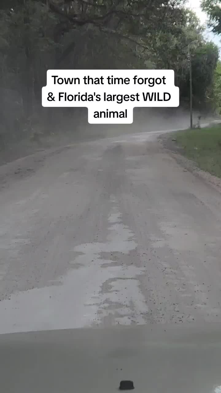@HiddenFL