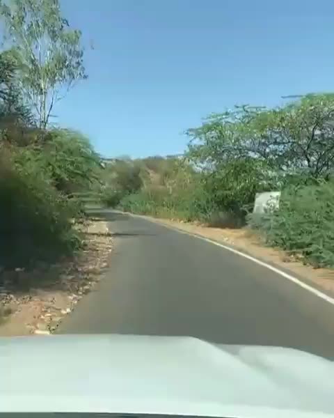 @rk