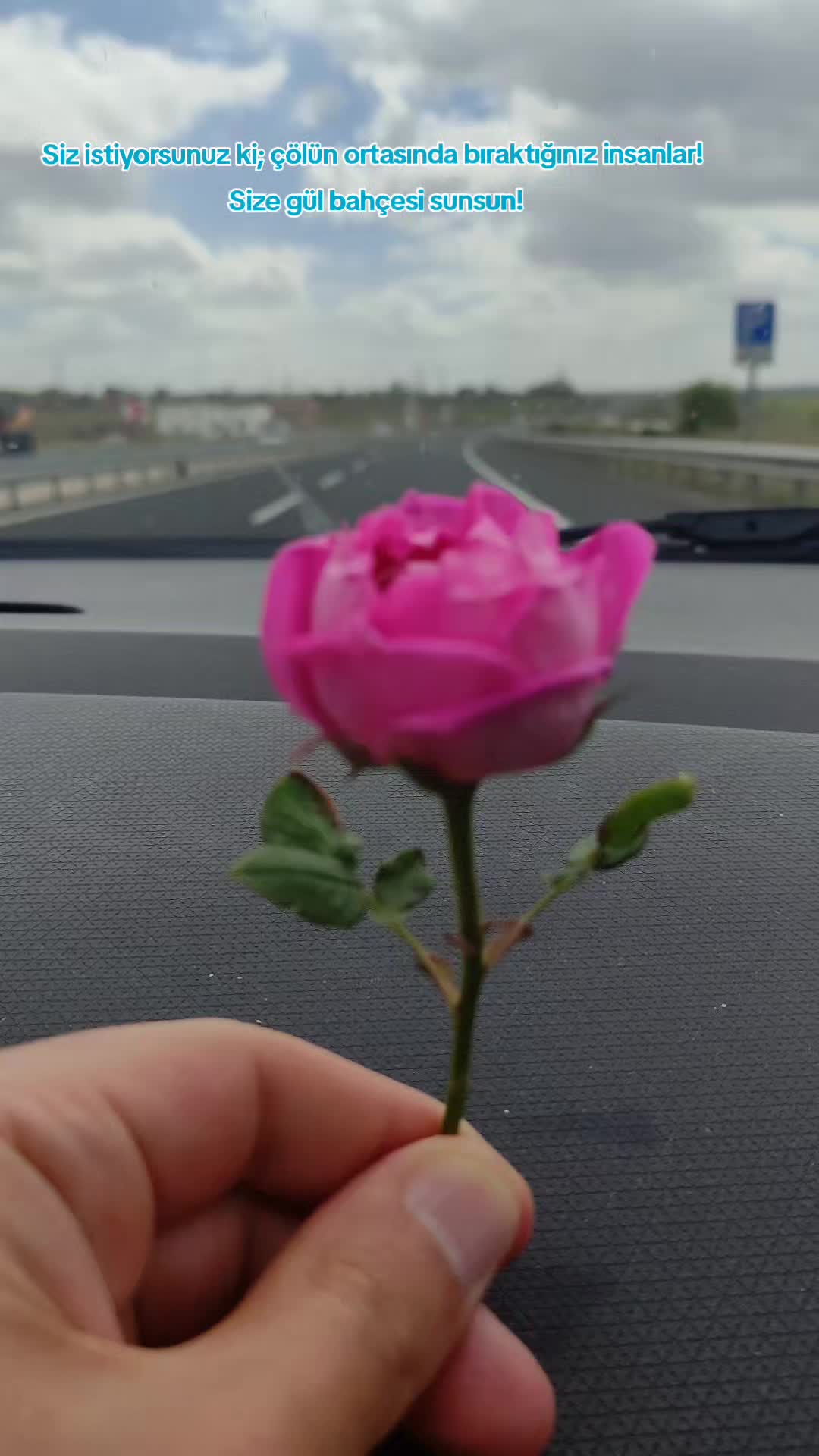 @Taha ÖZER
